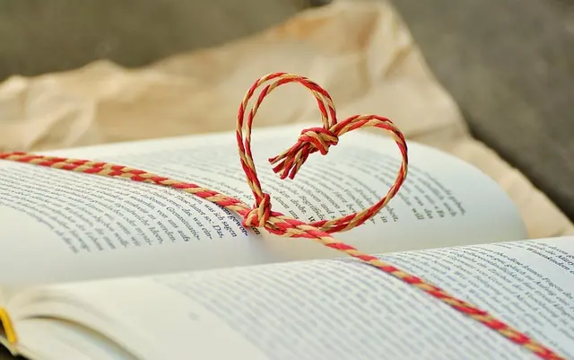 Comment Choisir les Meilleures Ressources pour l'Apprentissage des Langues