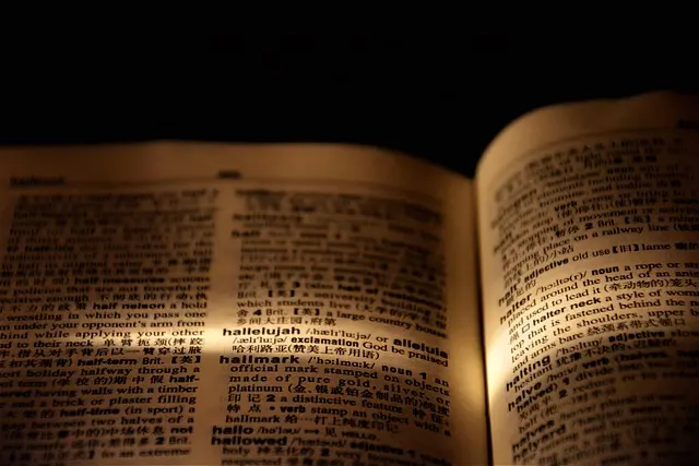 Les Meilleures Pratiques pour Encourager l'Apprentissage des Langues